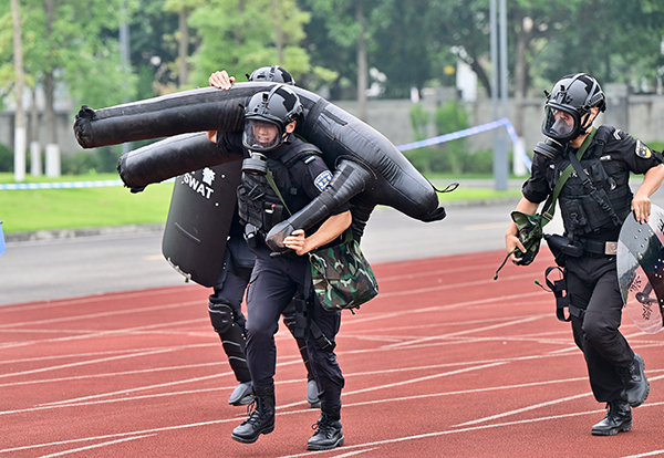 2026体育用品行业市场规模与未来趋势洞察
